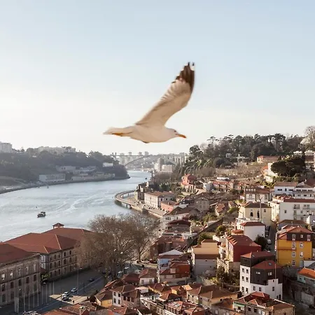 Apartment Citybreak-apartments Douro View Porto